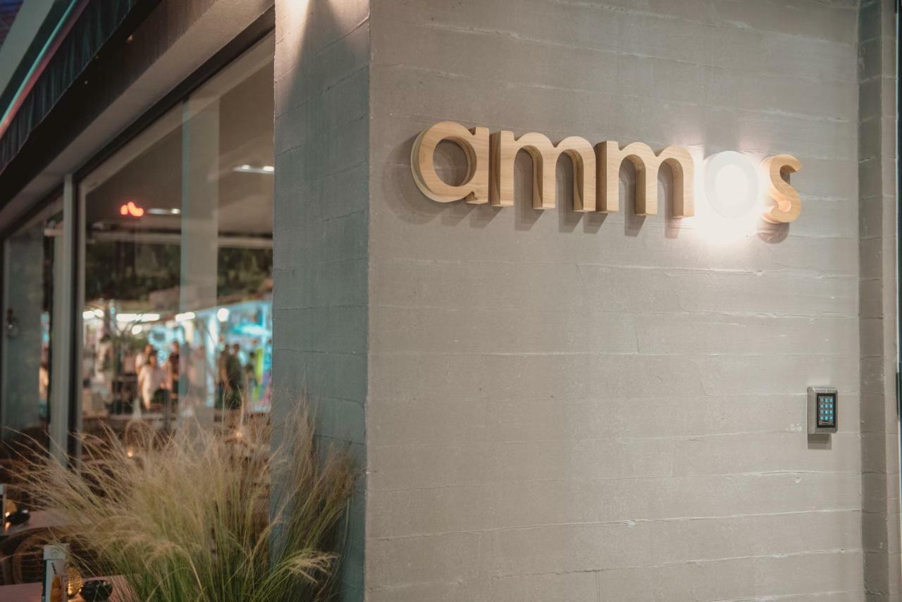 Ammos Beach Seaside Luxury Suites Hotel Olympiakí Aktí Exteriör bild